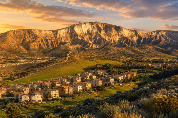Simi Valley Tree Service