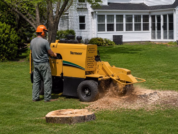 Stump grinding in Moorpark, CA